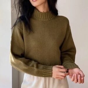 Cropped olive knit sweater (Aritzia) mock neck